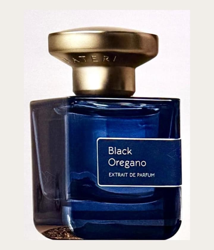 Atelier Materi Black Oregano
