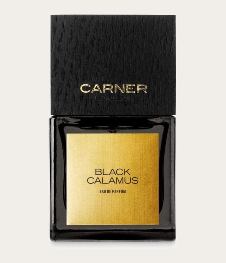 Carner Barcelona Black Calamus