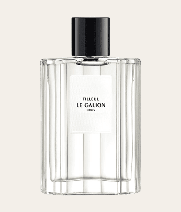 Le Galion Tilleul