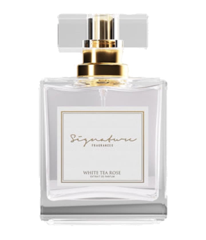 Signature Fragrances White Tea Rose