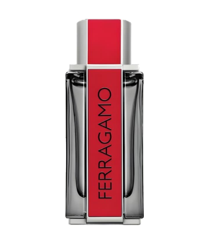 Salvatore Ferragamo Ferragamo Red Leather