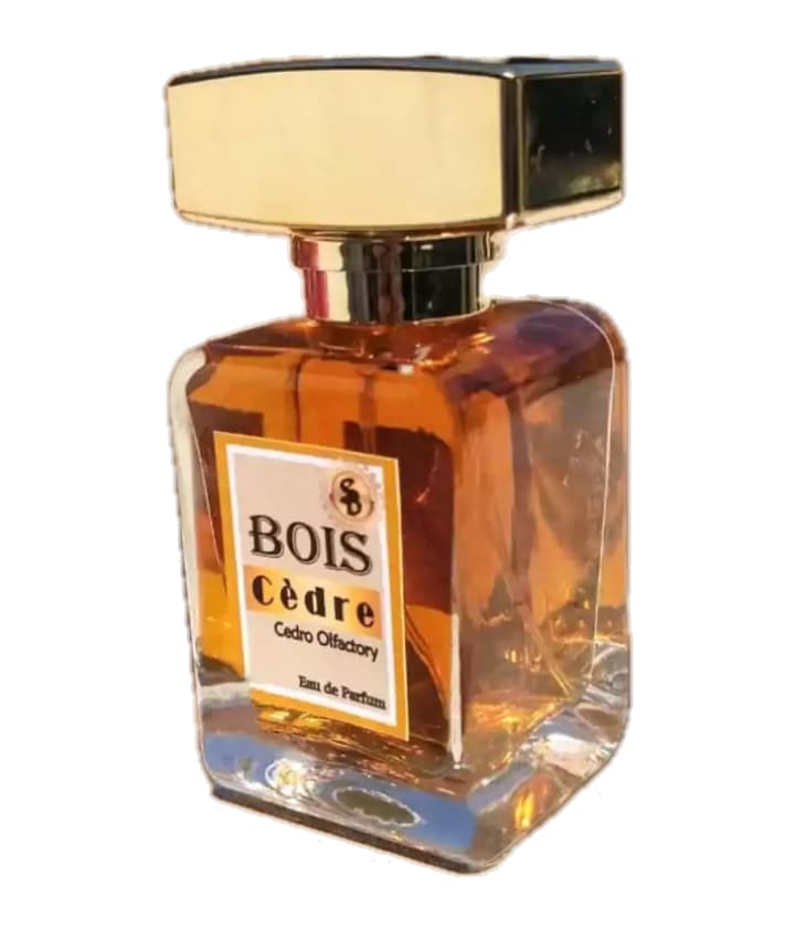 Atelier Segall & Barutti Bois Cèdre