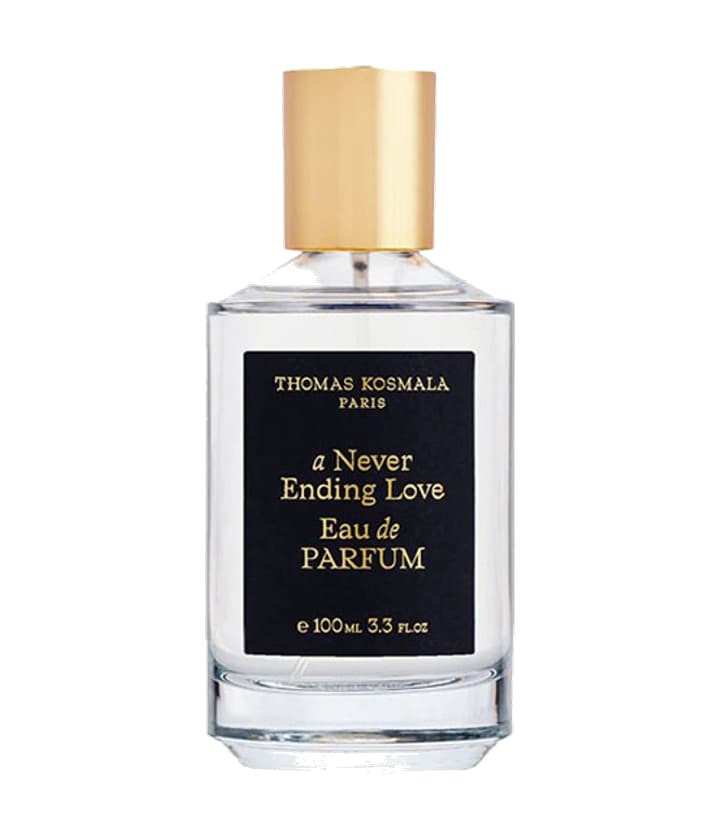 Thomas Kosmala A Never Ending Love