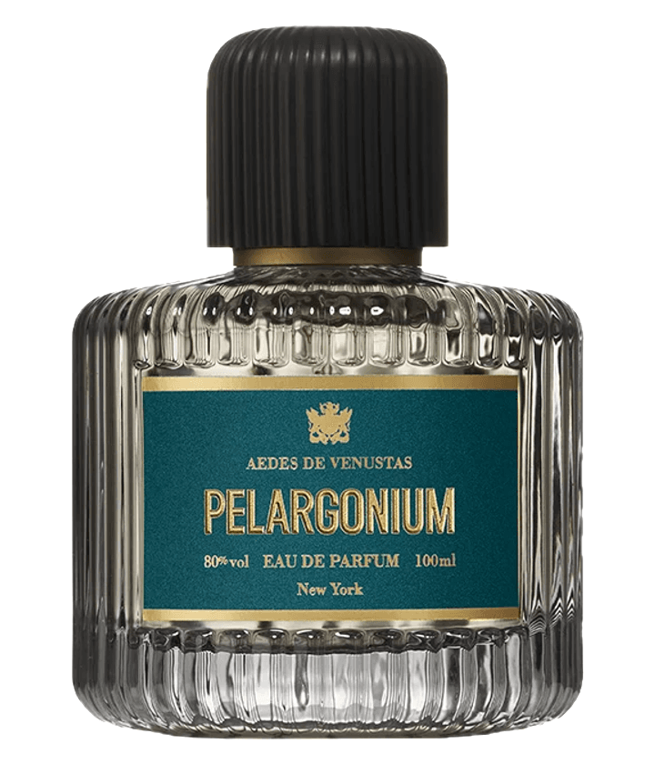 Aedes de Venustas Pelargonium