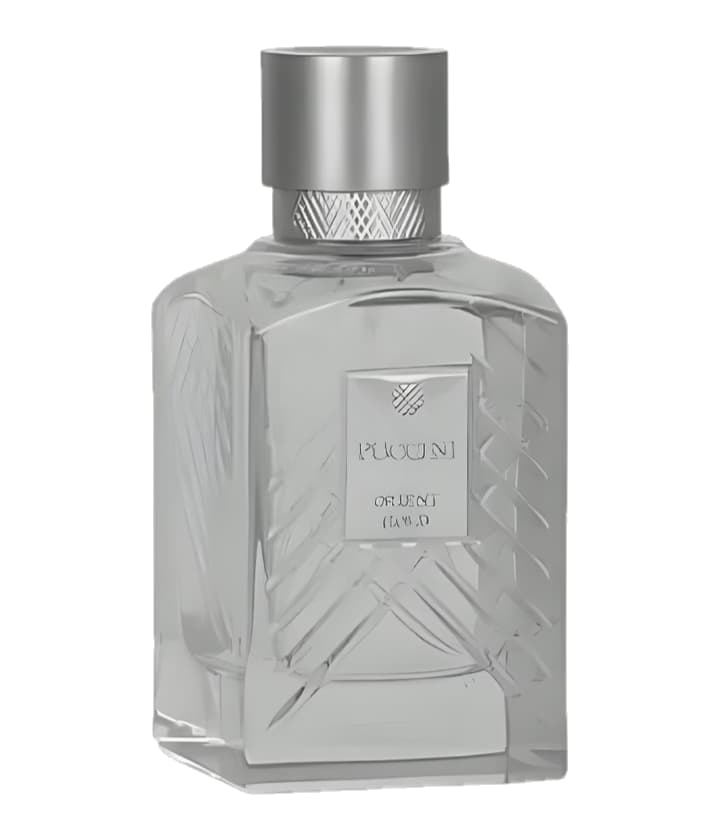 Puccini Paris Orient Gold