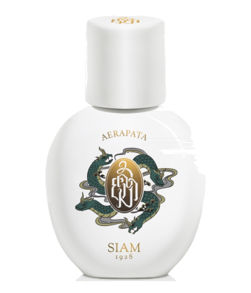 SIAM 1928 Aerapata