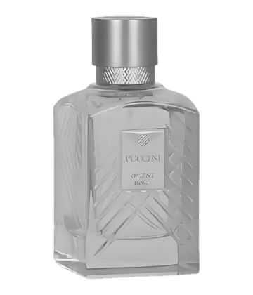 Puccini Paris Orient Gold
