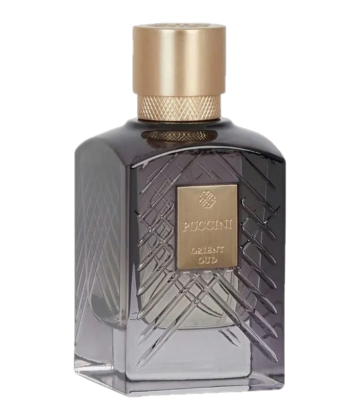 Puccini Paris Orient Oud