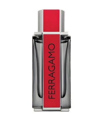 Salvatore Ferragamo Ferragamo Red Leather
