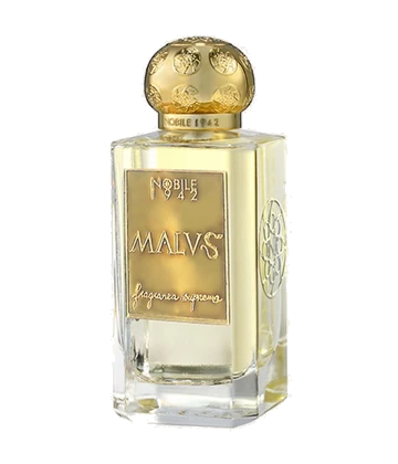Nobile 1942 Malvs