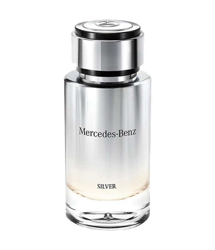 Mercedes-Benz Mercedes-Benz Silver