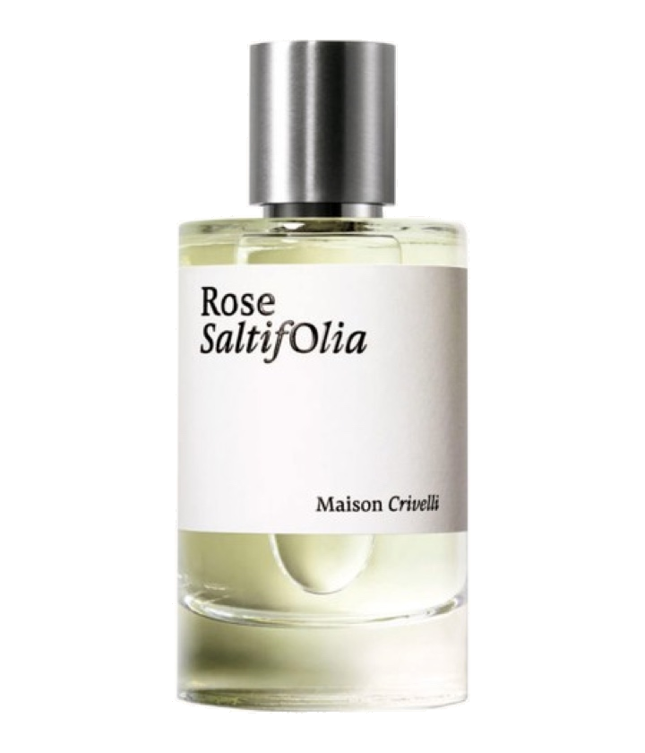 Maison Crivelli Rose SaltifOlia